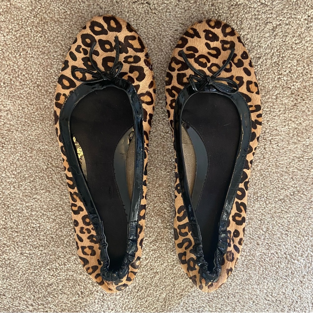 Aerosols cheetah print ballet shoes